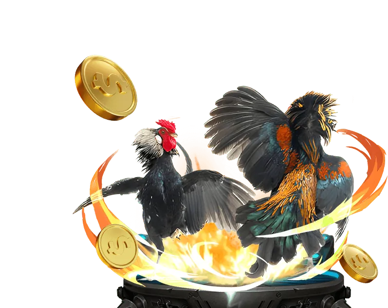 Bình luận viên đá gà